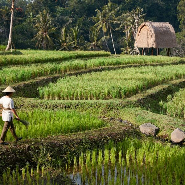 Bali Nomad - Mandapa, a Ritz-Carlton Reserve Image 18